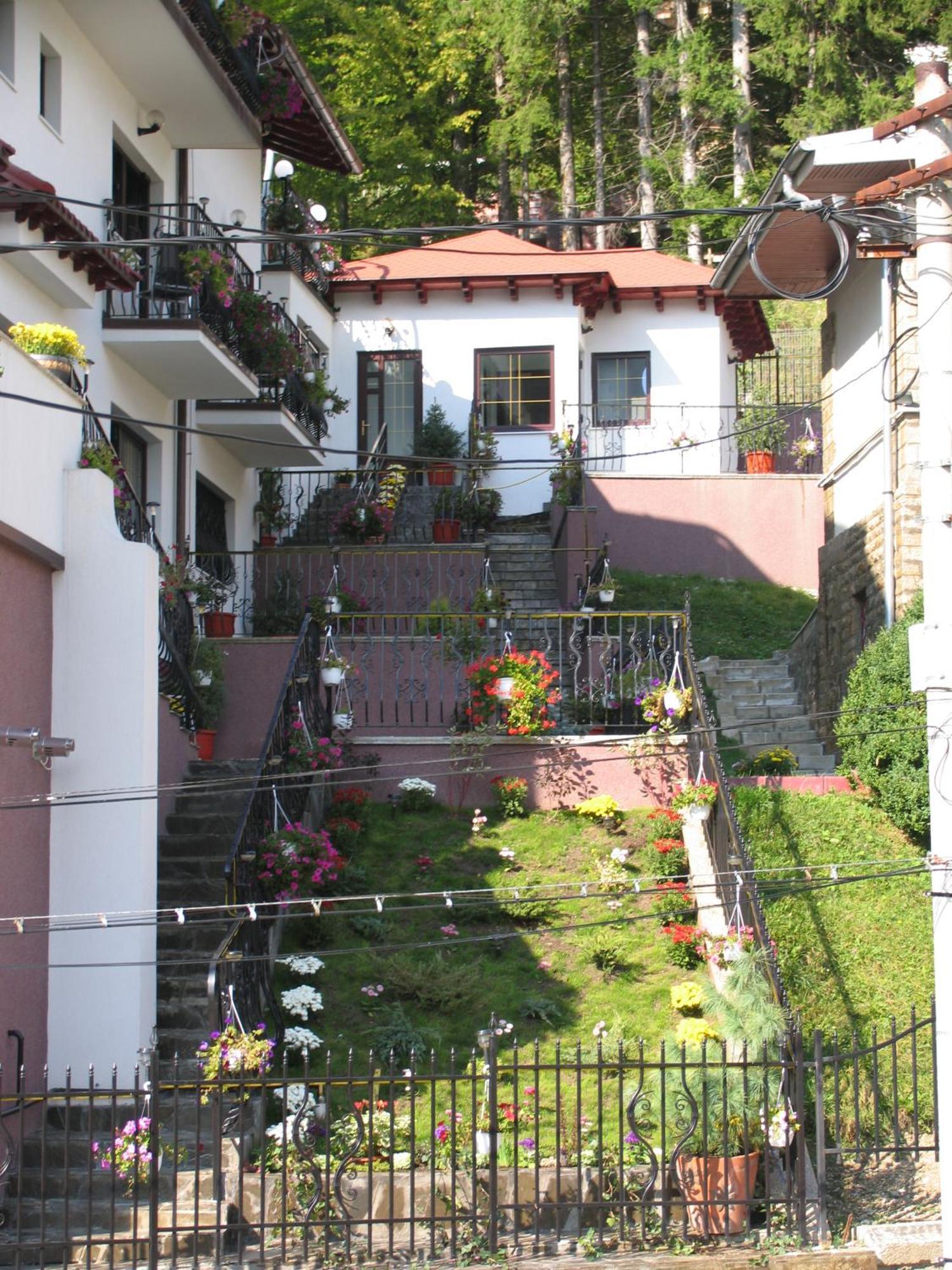Pensiunea Tv Condor Sinaia