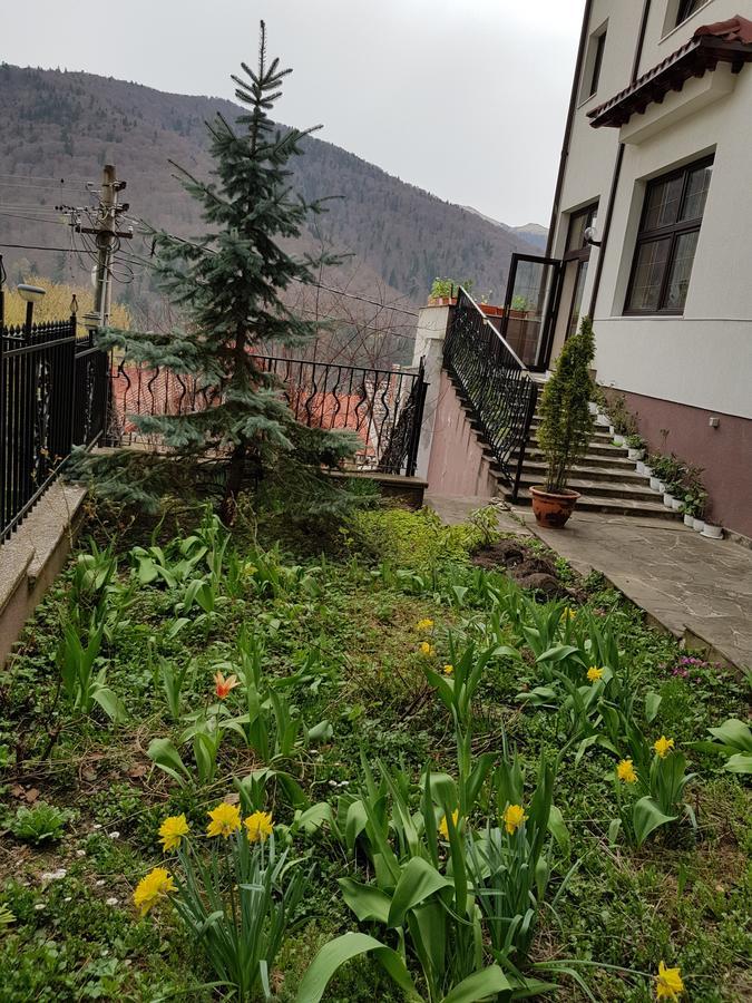 Pensiunea Tv Condor Gazde/Camere de închiriat Sinaia